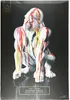 Statuette - HOME DECO FACTORY - Gorille Blanc Rainbow - Voir les images du produit 6