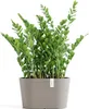 Ecopots Tokyo 30 Blumentopf - L 30 cm x B 17 cm x H 17 cm - Produktbild-Vorschau 7