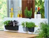 Sadzarka Easy 10 cm do europalet, kolor betonu Podgląd zdjęcia produktu 4