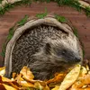 Relaxdays Igelhaus, Holz & Moos, Überwinterung für Igel im Produktbild-Vorschau 5