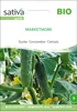 Artikelbild 1 von 'BIO Gurke Marketmore' aus der Kategorie Gurkensamen Produktbild-Vorschau