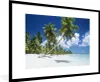 MuchoWow® Gerahmtes Poster Strand - Palme - Tropisch 90x60 Produktbild-Vorschau 1