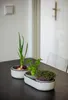 Sprossenschale & Pflanzschale ReGrow | Keimschalen von Produktbild-Vorschau 29