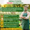 Green Guardia Nematoden gegen Nacktschnecken – 25 Mio. für Produktbild-Vorschau 5