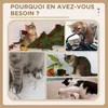 PawHut Arbre à chat avec griffoir arbre à grimper pour chat Voir les images du produit 4