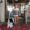 A young boy walks with a plush dog on a leash indoors. Anteprima dell’immagine prodotto