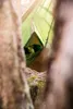 Houpací síť Amazonas Adventure Hammock coyote Náhled obrázku produktu 17
