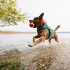 Non-stop dogwear Schwimmweste Protector Life Jacket türkis, Produktbild-Vorschau 4