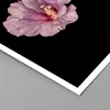 Poster - Poster ohne Rahmen - Hibiskus Blume Rosa - 40x50 Produktbild-Vorschau 2