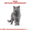Royal Canin FBN British Shorthair Adult 24x85g Nassfutter Produktbild-Vorschau 4