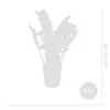 Bloomique - Zamioculcas Zamiifolia - Palma doniczkowa - Podgląd zdjęcia produktu 6