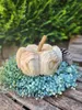 Holzkürbis Holzkürbis - d = 28 cm Produktbild-Vorschau 3