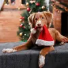 Hundedecke Decken Super Weich Premium Flauschig Hundedecke Produktbild-Vorschau 6