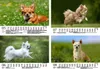 Hundezauber Chihuahua DIN A5 Kalender für 2026 Welpen und Produktbild-Vorschau 3