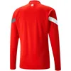 PUMA SFV Schweiz Training 1/4-Zip-Top Herren puma red/puma Produktbild-Vorschau 5
