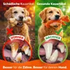 TITANEX™ Unzerstörbares Stofftier Hundespielzeug - für Produktbild-Vorschau 4