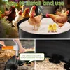 Bain de poussière pour poules, diamètre 60 cm ; pondoir Voir les images du produit 10
