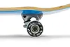 A close-up side view of a skateboard wheel and truck. Produktbild-Vorschau