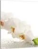 Glasschneidebrett 40x52 Orchidee Produktbild-Vorschau 1
