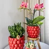 Kolibri Home Keramik Beerentopf - Ø6 cm Produktbild-Vorschau 6