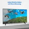 A split-screen image on a TV screen showing a comparison between 'Standard' and 'Micro Dimming' picture quality, with geese flying over a forest. Produktbild-Vorschau