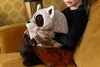 Waschbär Handwärmer Noxxiez Kuscheltier Produktbild-Vorschau 8