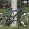 A bicycle is locked to a tree in a park with a playground in the background. Podgląd zdjęcia produktu