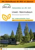 SAFLAX Garden in the bag - Urwelt - Mammutbaum - Produktbild-Vorschau 1