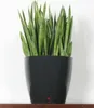Kvetináč Riss RIV3580796331061 Ø 35 cm Náhľad obrázku produktu 5