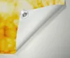 Wallario Lichtschutzbild, Dekorativer Sichtschutz Produktbild-Vorschau 5