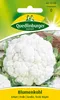 Blumenkohl, Erfurter Zwerg Produktbild-Vorschau 5