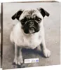 Starpak Dog A4 Hunde-Ordner Produktbild-Vorschau 4