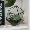 Relaxdays rostlinné terárium, sklo a cín, dekorativní Náhled obrázku produktu 2