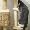 PawHut Arbre à chat avec griffoir arbre à grimper pour chat Voir les images du produit 7