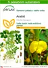 SAFLAX - Arašíd - Arachis hypogaea - 8 Semena - S pěstebním Náhled obrázku produktu 1