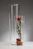 Bodenvase CONICAL 70cm  - Glas, konisch, Ø19cm, Sandra Rich Produktbild-Vorschau 2