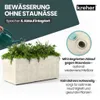 A planter with plants being watered, with marketing text and a close-up of the drainage system. Produktbild-Vorschau