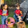 Two children are camping and cooking outdoors. Produktbild-Vorschau