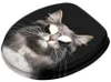 SANILO® WC-bril Cool Cat, toiletdeksel rechtstreeks van de Productafbeelding-voorbeeld 2