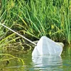 Teichkescher "POND NET 25" Produktbild-Vorschau 2