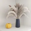 Vase Schwarz - vase Schwarz Matt, Schwarze Vases, 15CM Produktbild-Vorschau 3