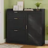 Armoire à chaussures KIMENICH avec 2 portes battantes, Voir les images du produit 1