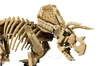 LEGO Jurassic World Dinosauří fosilie: Triceratops, Sada na Náhled obrázku produktu 19