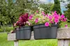 KHW Geländerblumenkasten Flowerclip XL aus hochwertigem Produktbild-Vorschau 6