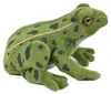 Kuscheltier Frosch 19 cm grün sitzend Plüschfrosch Produktbild-Vorschau 6