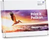Pelikan PromoPack P48 4 Stück(e) Kompatibel Schwarz - Cyan Produktbild-Vorschau 1