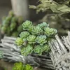 Simulation Sukkulente verblasst nicht realistisch Produktbild-Vorschau 4