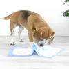 Trainingsunterlagen für Hunde und Welpen, 100er Hygienisch Produktbild-Vorschau 5