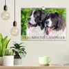 Traumhund Landseer (Wandkalender 2027 DIN A4 quer), Produktbild-Vorschau 3