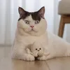 Beeztees Katzenspielzeug ECO Oktopus Nome Produktbild-Vorschau 3